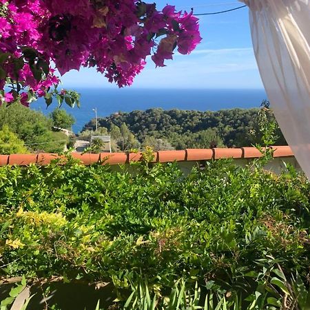 Villa D'Arte Mortola Superiore Εξωτερικό φωτογραφία