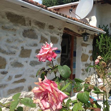 Villa D'Arte Mortola Superiore Δωμάτιο φωτογραφία