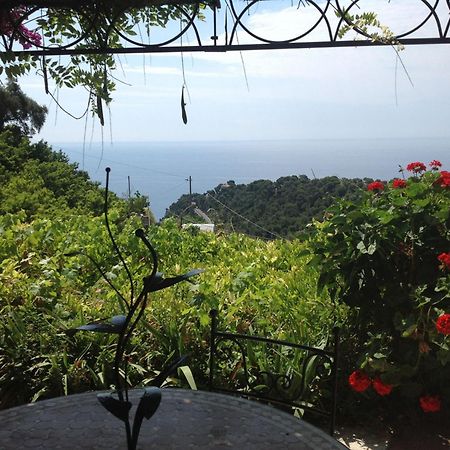 Villa D'Arte Mortola Superiore Δωμάτιο φωτογραφία