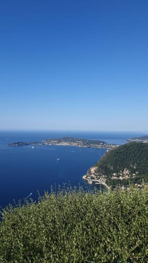 Villa D'Arte Mortola Superiore Εξωτερικό φωτογραφία