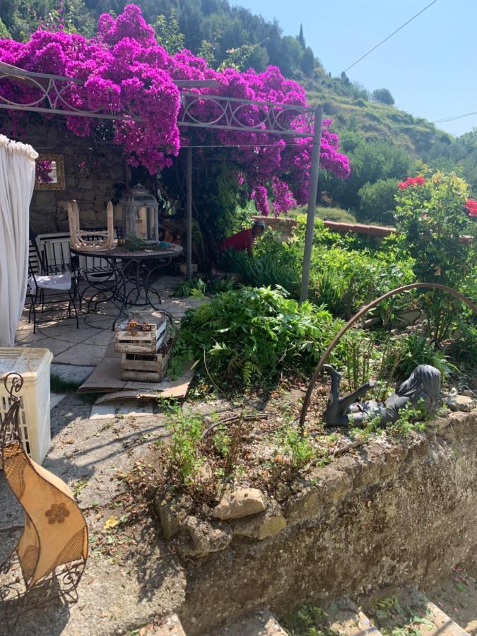 Villa D'Arte Mortola Superiore Εξωτερικό φωτογραφία