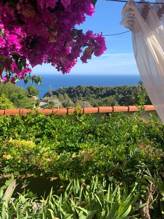 Villa D'Arte Mortola Superiore Εξωτερικό φωτογραφία