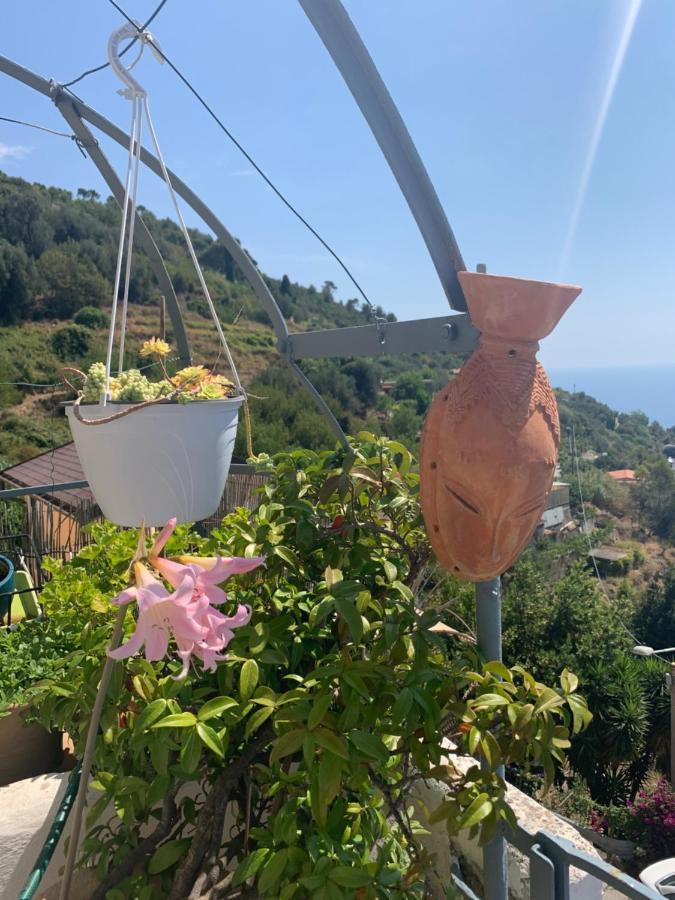 Villa D'Arte Mortola Superiore Εξωτερικό φωτογραφία
