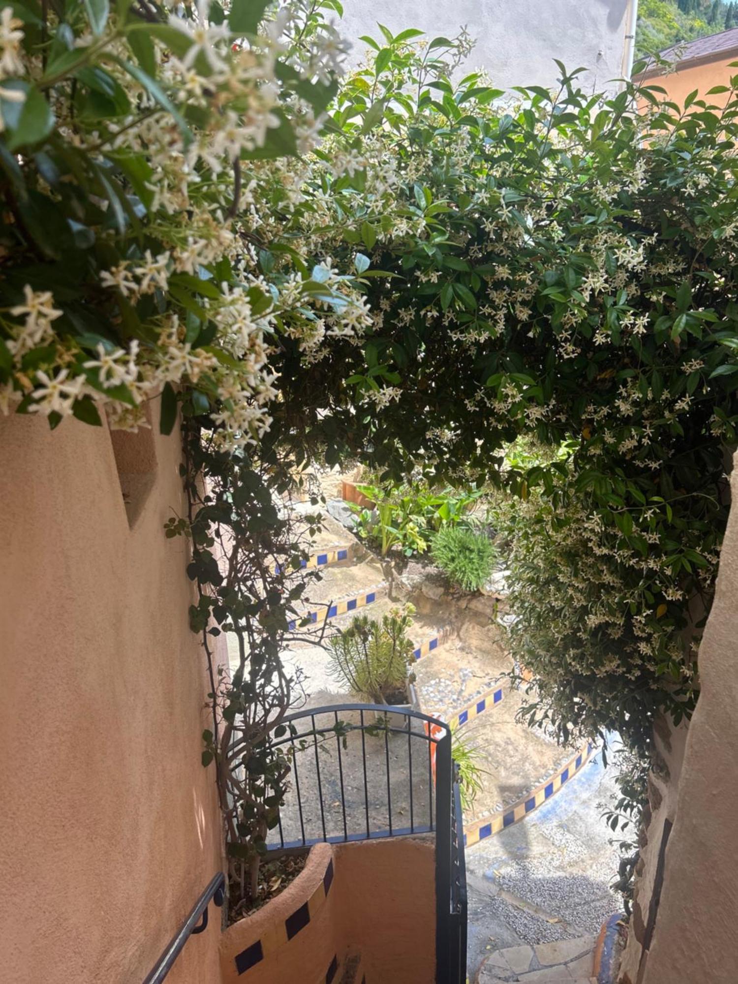 Villa D'Arte Mortola Superiore Εξωτερικό φωτογραφία