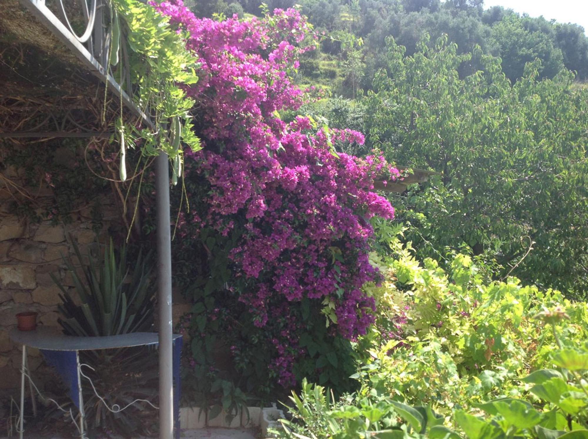 Villa D'Arte Mortola Superiore Δωμάτιο φωτογραφία