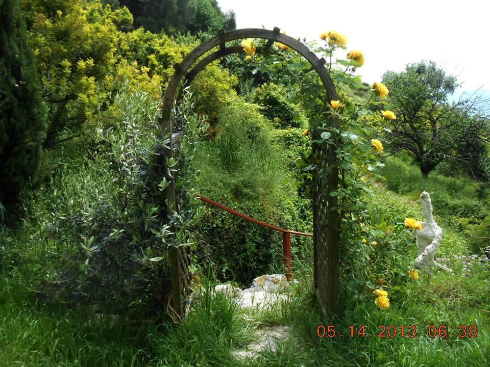 Villa D'Arte Mortola Superiore Εξωτερικό φωτογραφία
