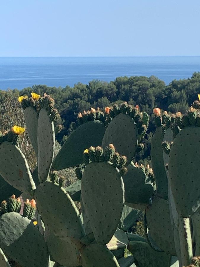 Villa D'Arte Mortola Superiore Εξωτερικό φωτογραφία